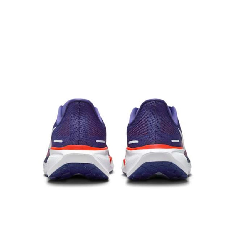Nike Pegasus 41 FZ5108-500 06