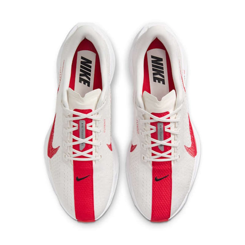 Nike Pegasus Plus FQ7262-003 04