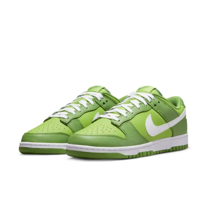 Nike Dunk Low DJ6188-300 05
