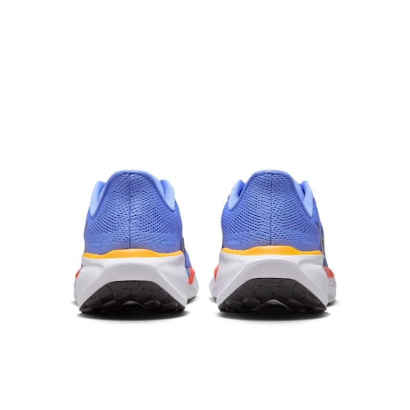 Nike Pegasus 41 FD2723-402 06