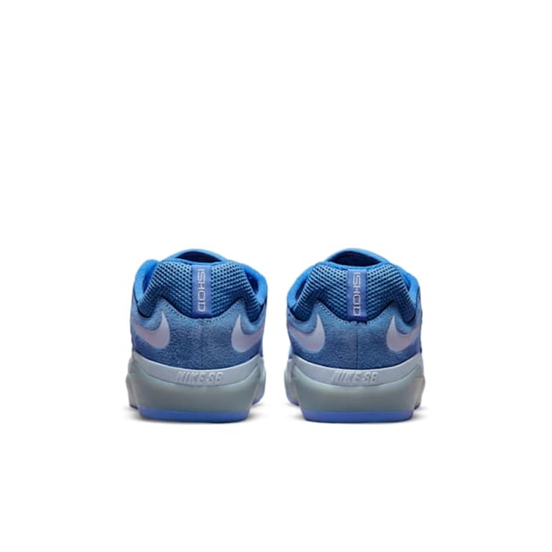 Nike SB Ishod DC7232-401 06