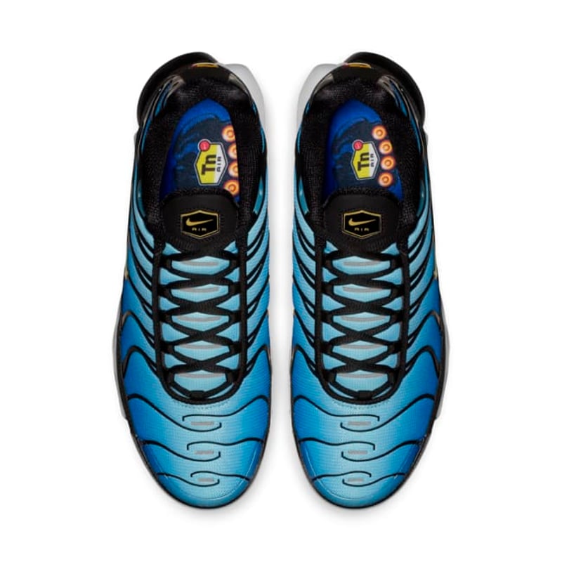 Nike Air Max Plus BQ4629-003 04