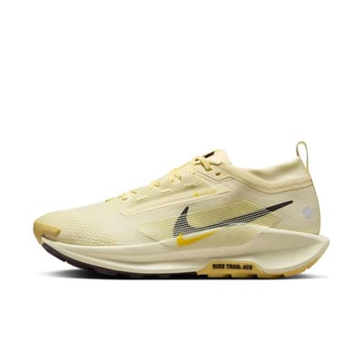 Nike Pegasus Trail 5 GORE-TEX FQ0908-700