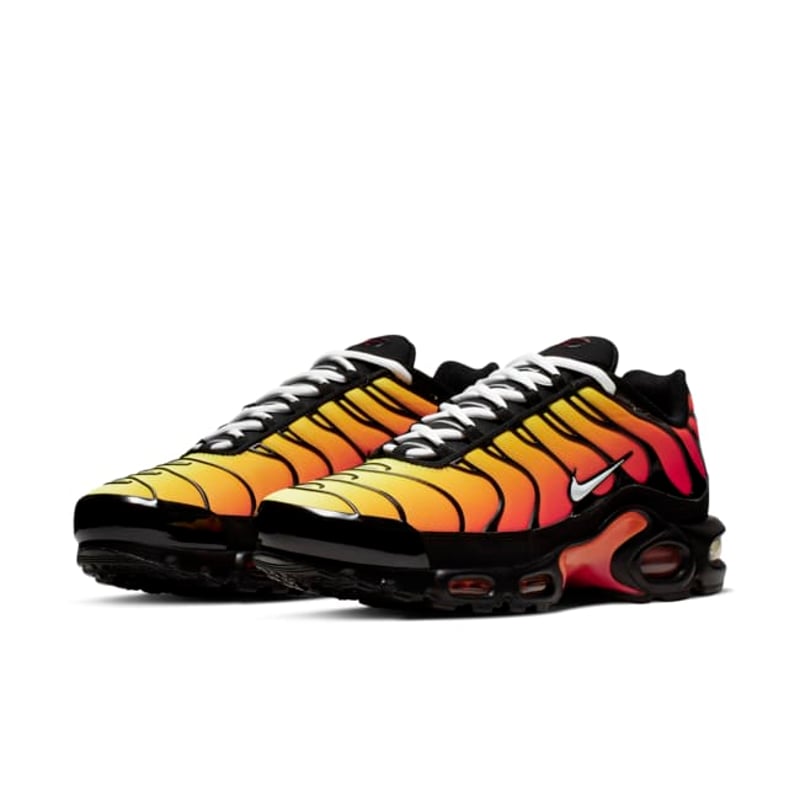 Nike Air Max Plus OG 852630-040 05