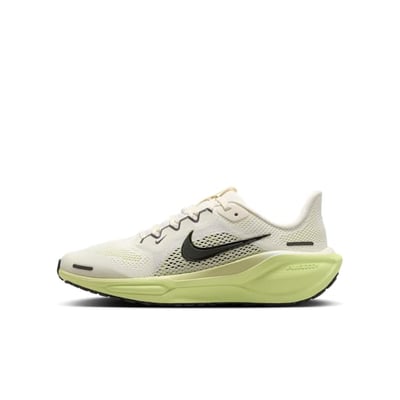 Nike Pegasus 41 FN5041-106