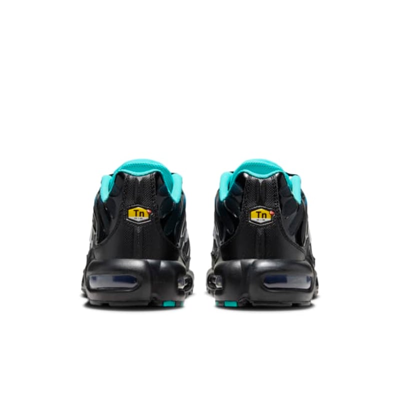Nike Air Max Plus DM0032-401 06