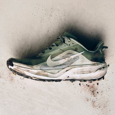 Nike ACG Pegasus HV8121-310 01