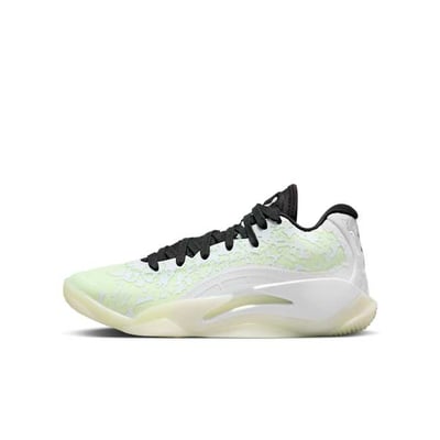 Jordan Zion 3 DV3869-110 01