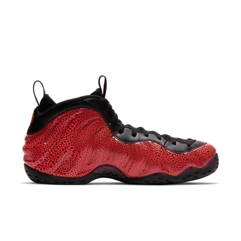 Nike Air Foamposite One 314996-014 03