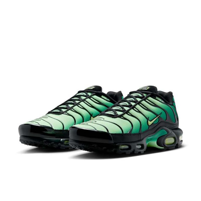 Nike Air Max Plus DM0032-301 05