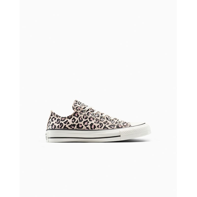 Converse Chuck Taylor All Star Low A15814C 01