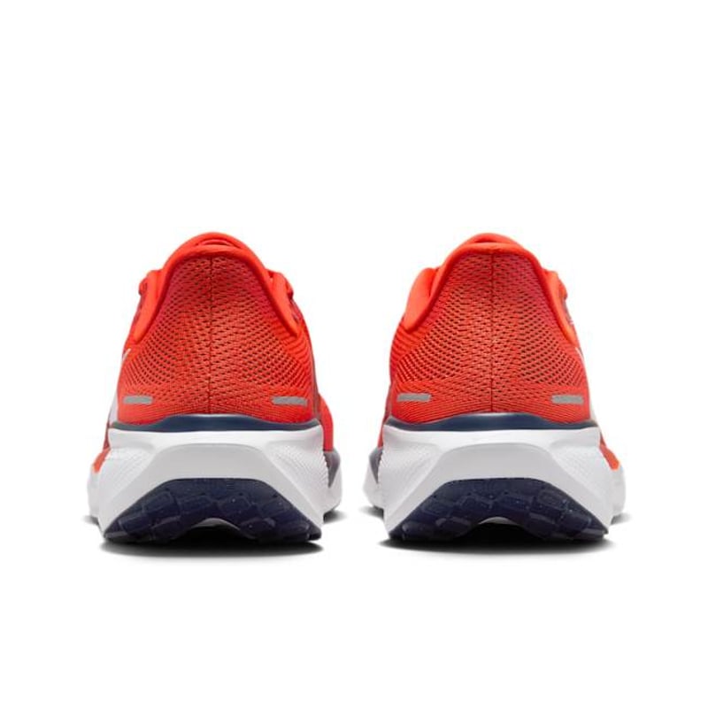 Nike Pegasus 41 FZ5151-800 06