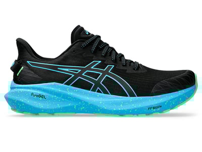 ASICS GT-2000 13 1011B953-001
