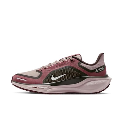 Nike Pegasus 41 GORE-TEX FQ1357-200