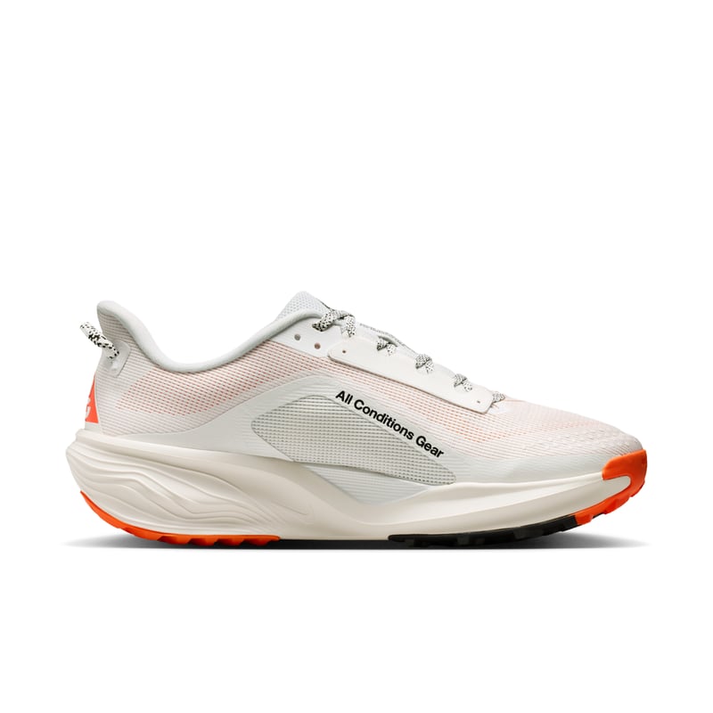 Nike ACG Pegasus HV8116-103 03