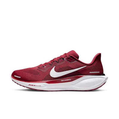 Nike Pegasus 41 FZ5137-600