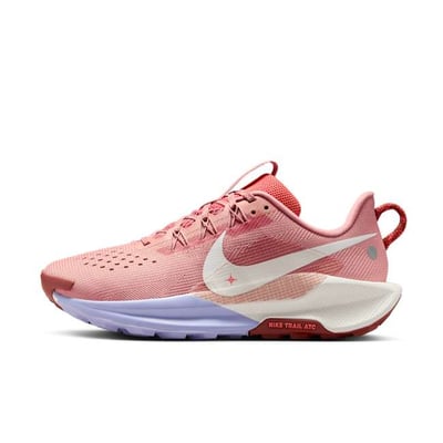 Nike Pegasus Trail 5 DV3865-601