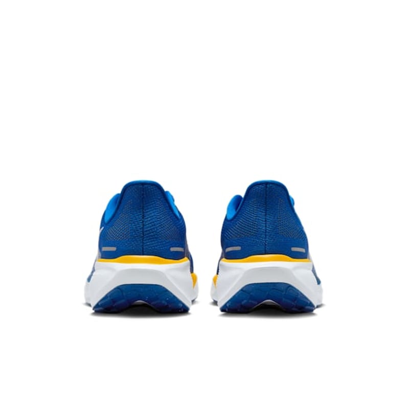 Nike Pegasus 41 FZ5132-400 06