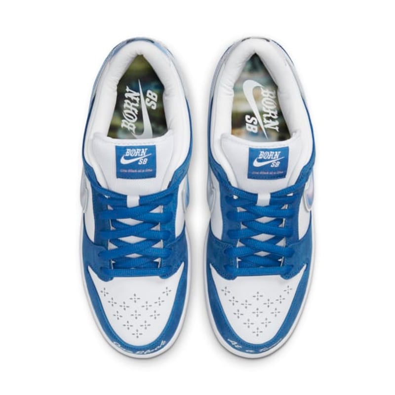 Nike SB Dunk Low x Born x Raised FN7819-400 04