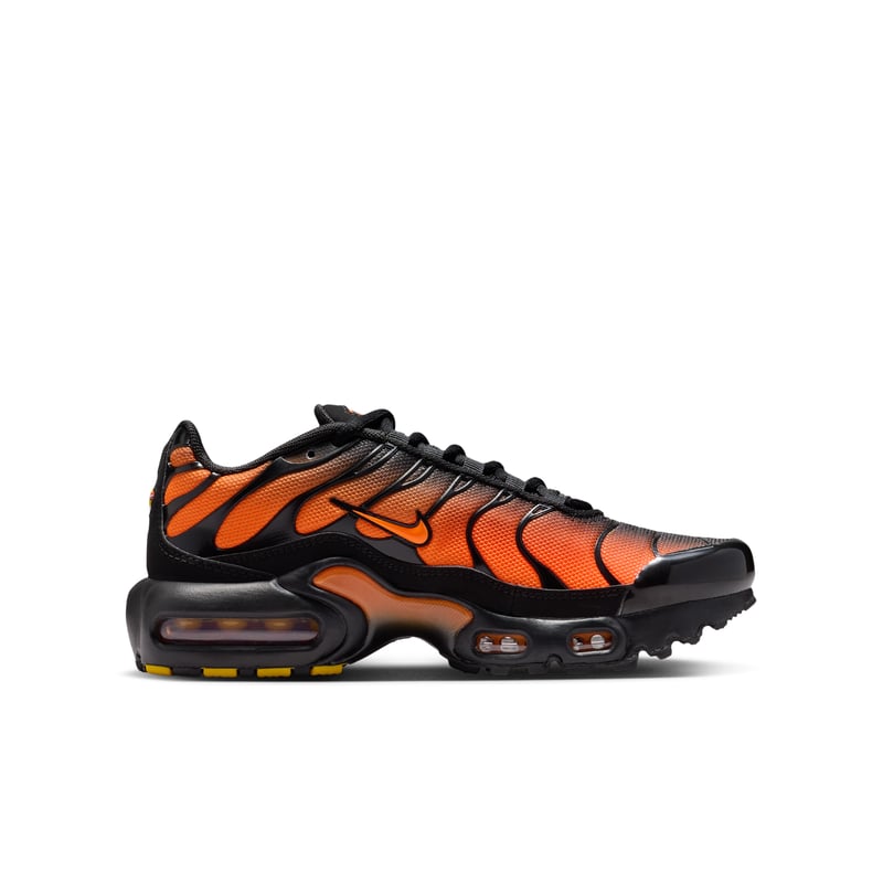 Nike Air Max Plus CD0609-041 03