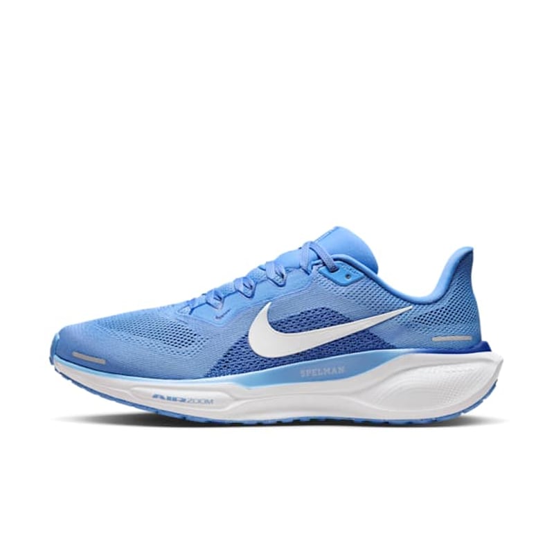 Nike Pegasus 41 FZ5141-400 01