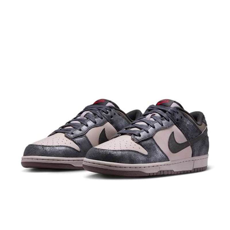 Nike Dunk Low Retro IB2258-001 05