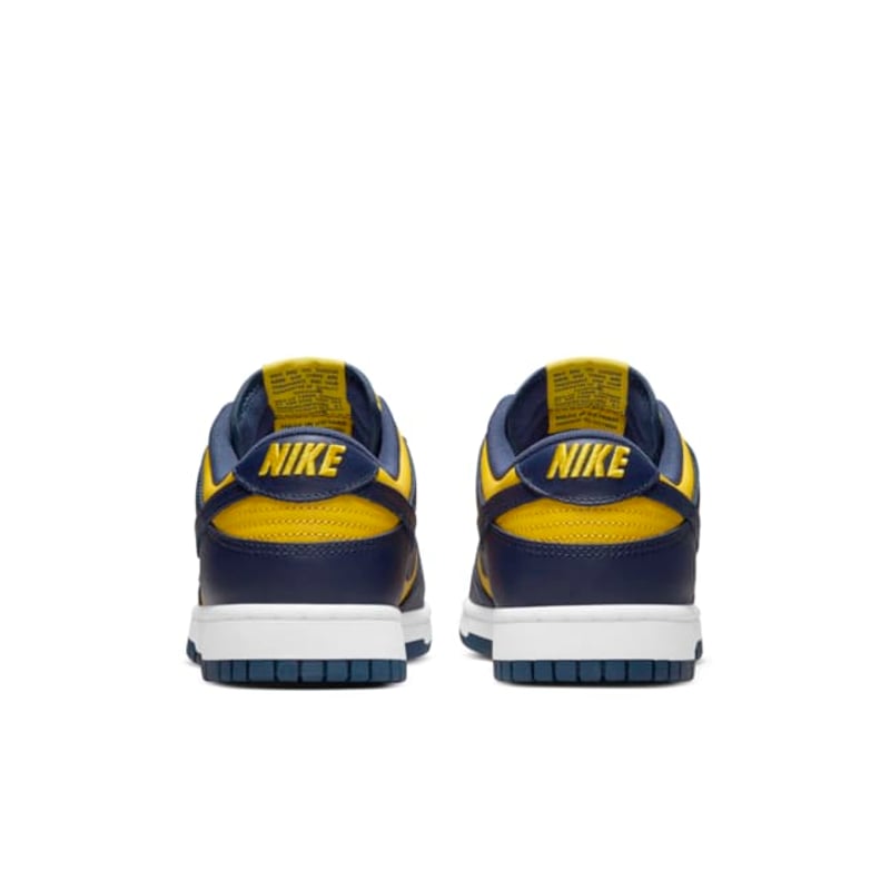Nike Dunk Low DD1391-700 06