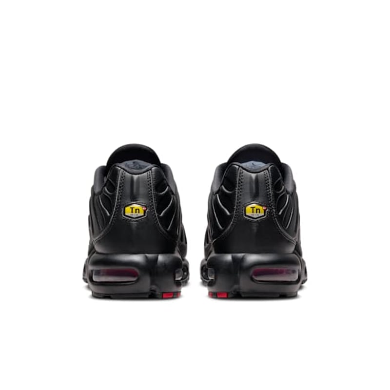 Nike Air Max Plus Premium FZ3038-001 06