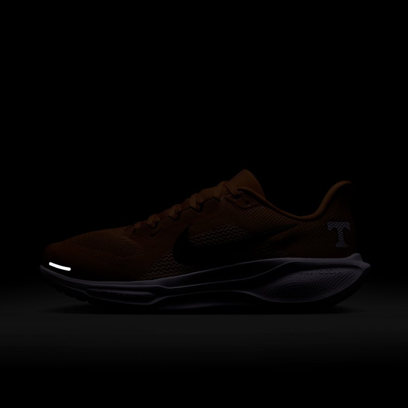 Nike Pegasus 41 IB3253-800 09
