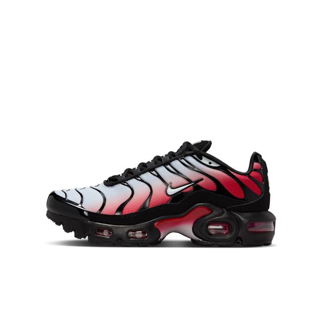 靴 NIKE AIR MAX PLUS PUREPLATINUMUNIVERSITY public