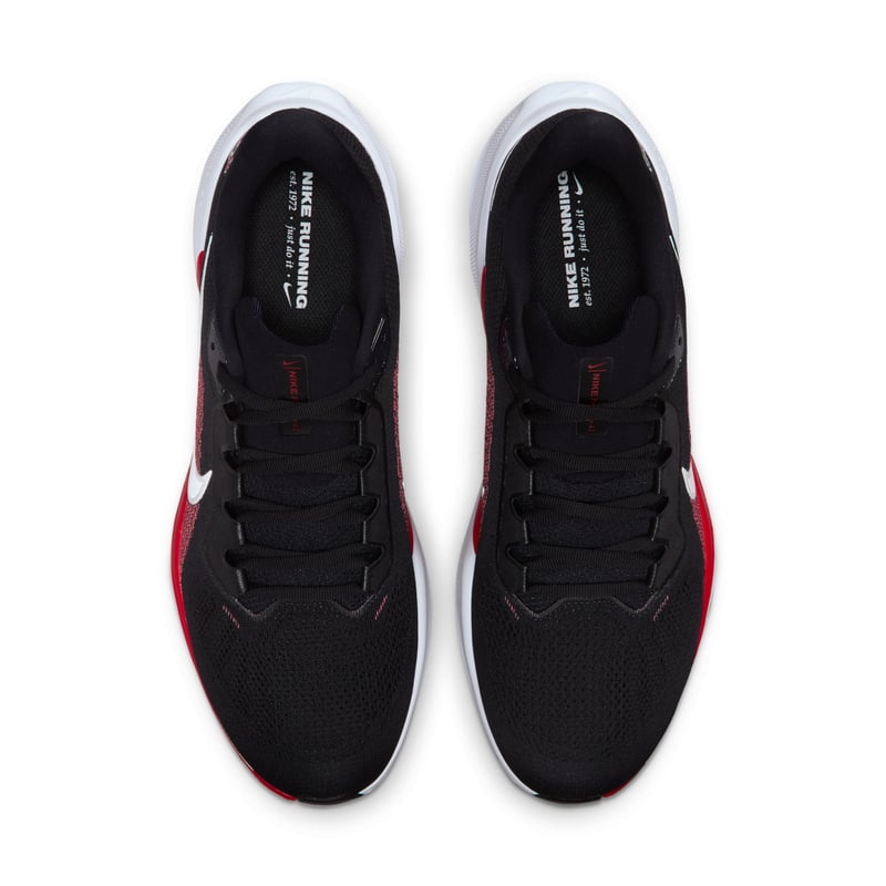Nike Pegasus 41 x NFL IB3195-400 04
