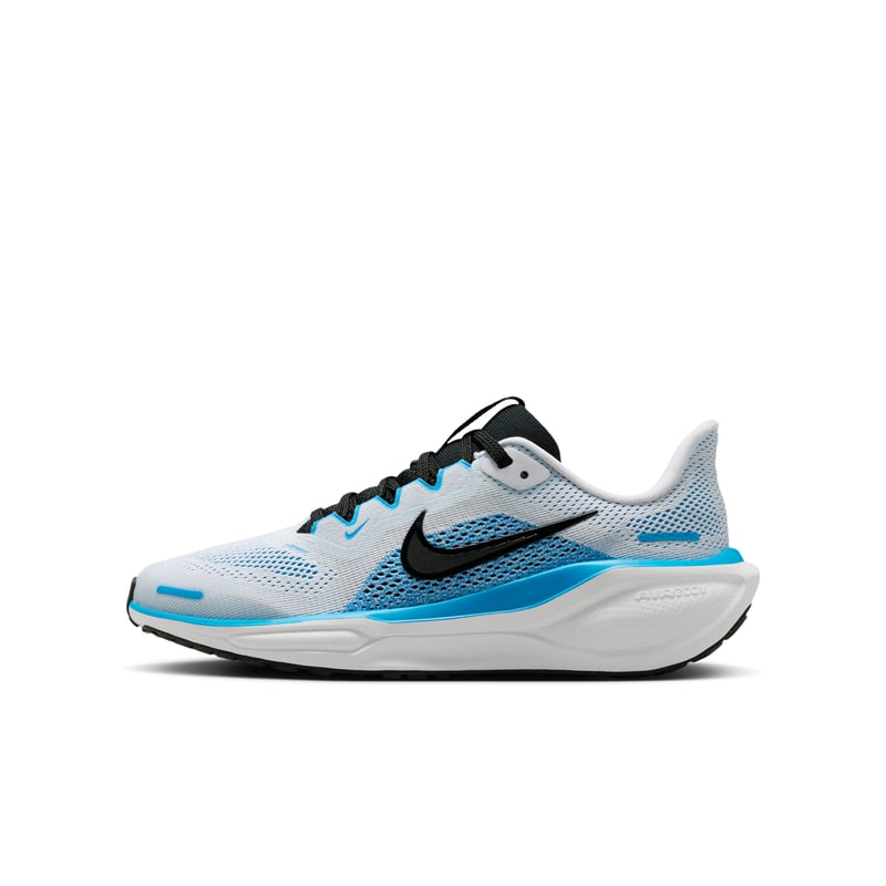 Nike Pegasus 41 FN5041-109 01