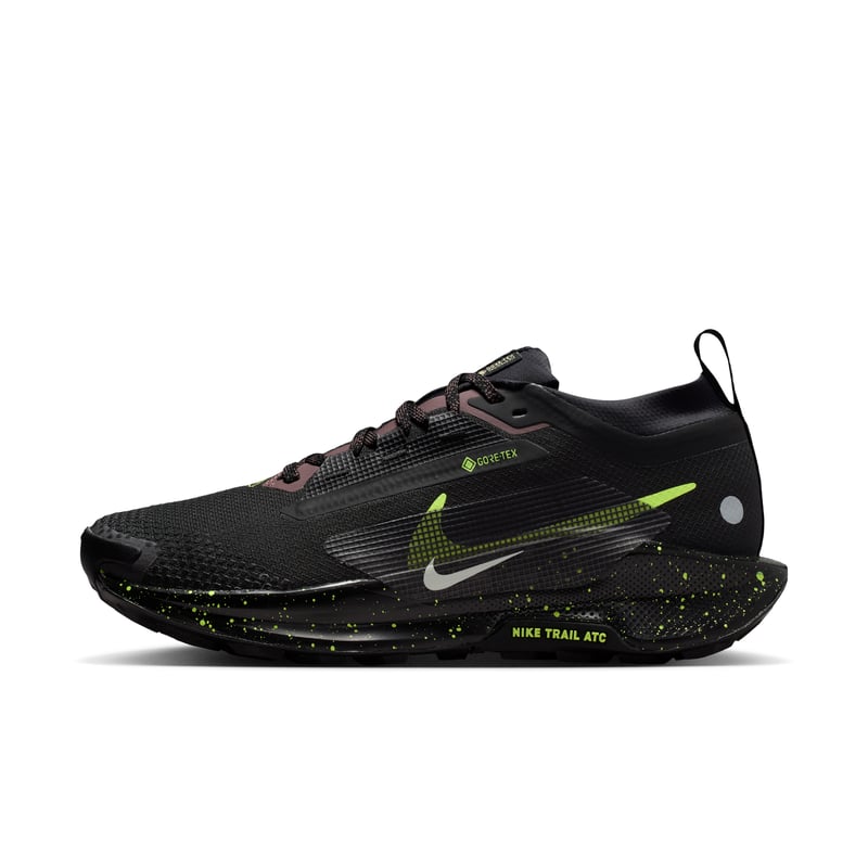 Nike Pegasus Trail 5 GORE-TEX FQ0912-009 01