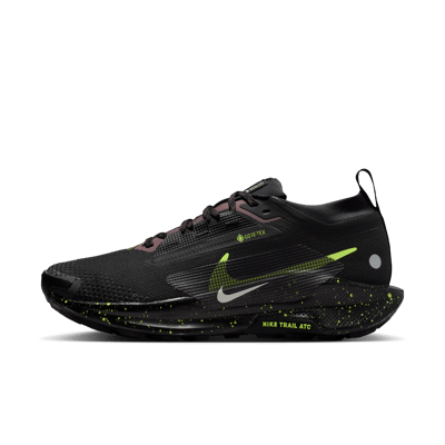 Nike Pegasus Trail 5 GORE-TEX FQ0912-009 01