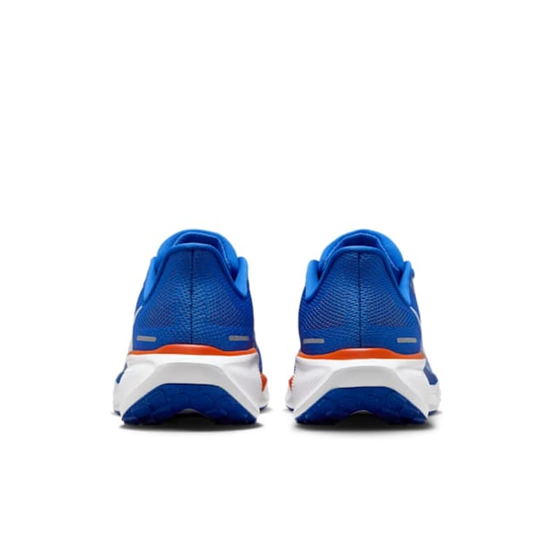 Nike Pegasus 41 FZ5113-400 06