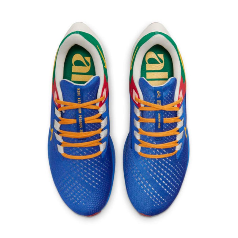 Nike Air Zoom Pegasus 38 A.I.R. x Jordan Moss DO7763-400 04