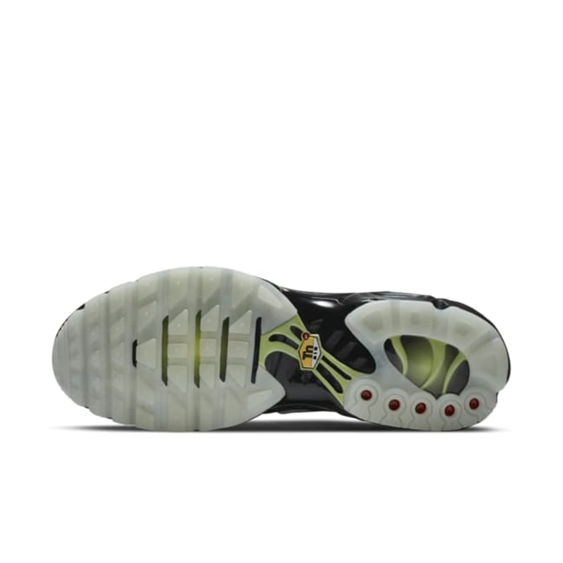 Nike Air Max Plus DD4004-001 02