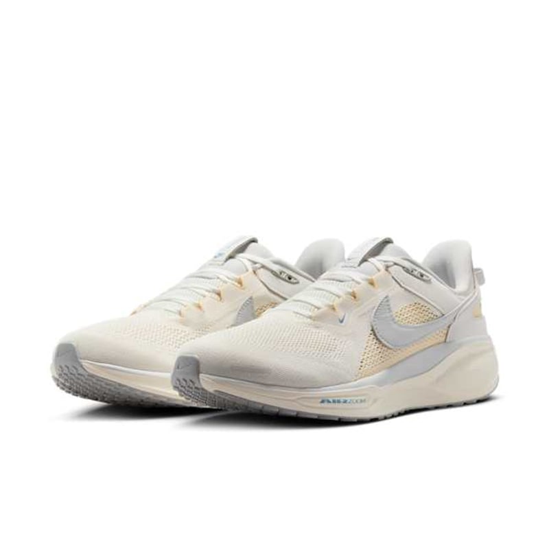 Nike Pegasus 41 SP HQ6025-100 05