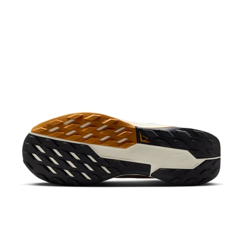 Nike Pegasus Trail 5 GORE-TEX FQ0908-007 02
