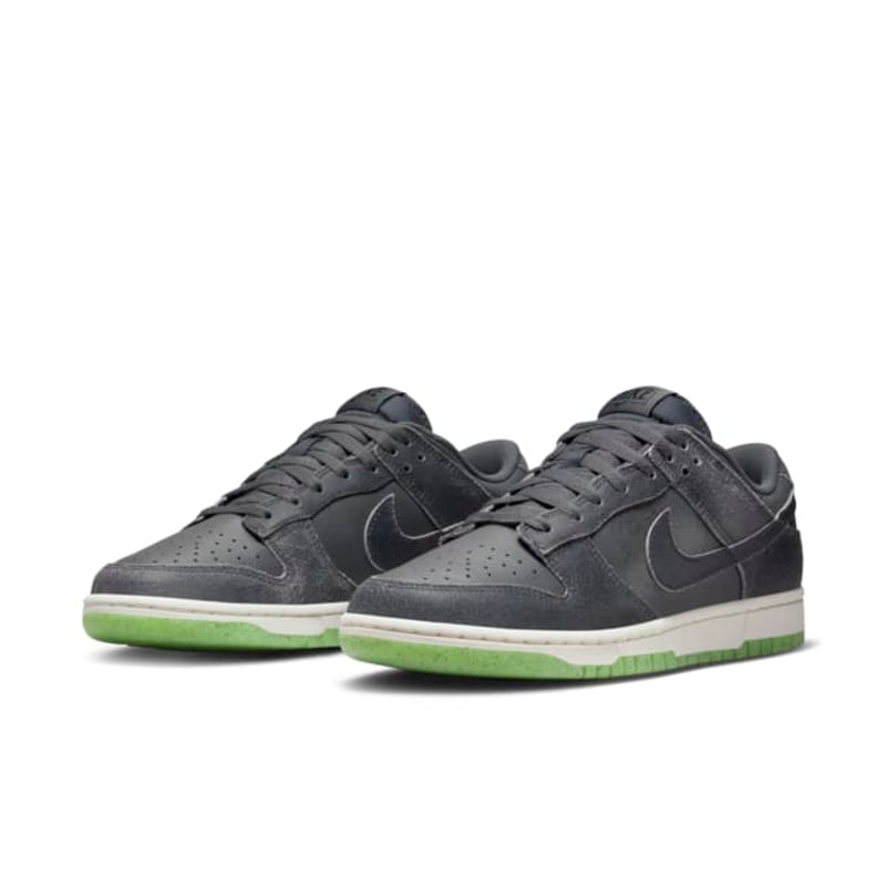 Nike Dunk Low Retro Premium DQ7681-001 05