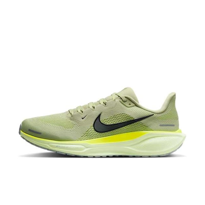 Nike Pegasus 41 FD2722-303 01