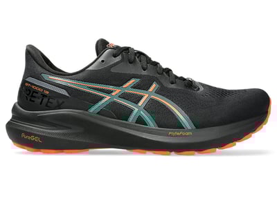 ASICS GT-1000 13 GORE-TEX 1011B857-002 01