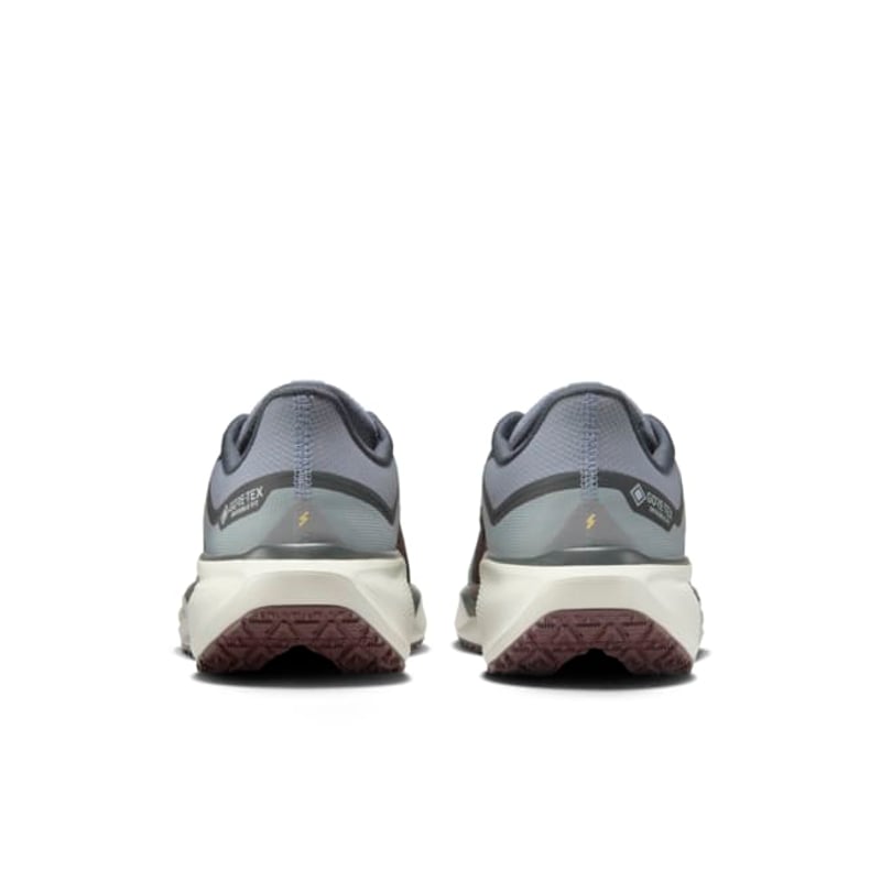Nike Pegasus 41 GORE-TEX FQ1356-003 06