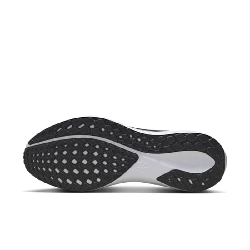Nike Pegasus 41 FZ5107-001 02