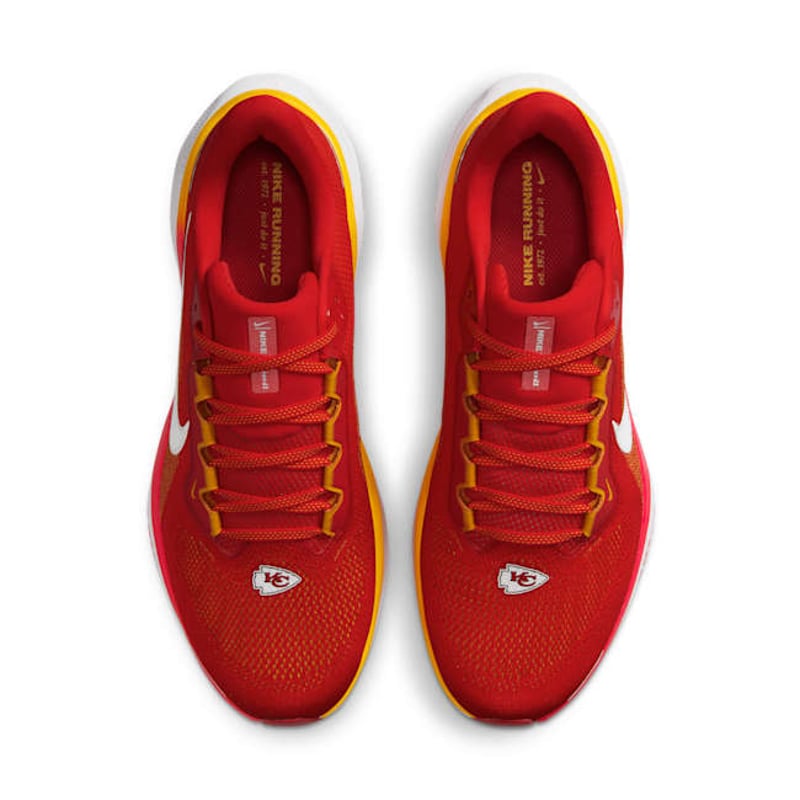 Nike Pegasus 41 x NFL FZ5079-600 04