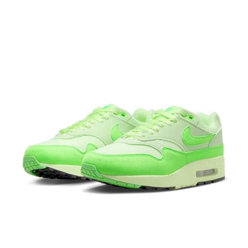 Nike Air Max 1 '87 HJ7329-376 05