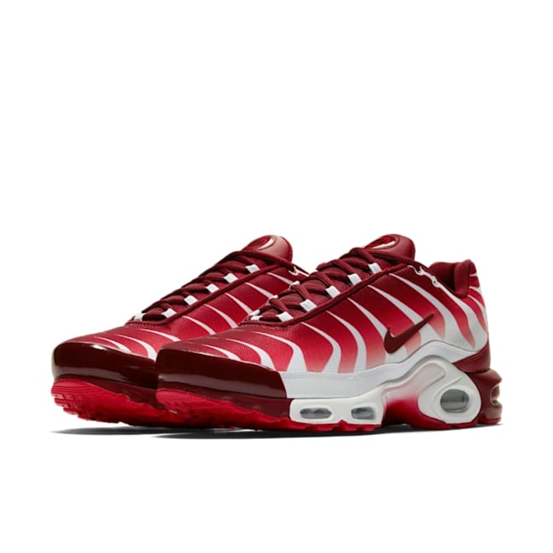 Nike Air Max Plus AQ0237-101 05