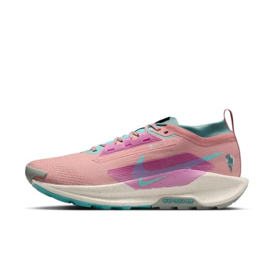Nike Pegasus Trail 5 GORE-TEX FQ0908-600