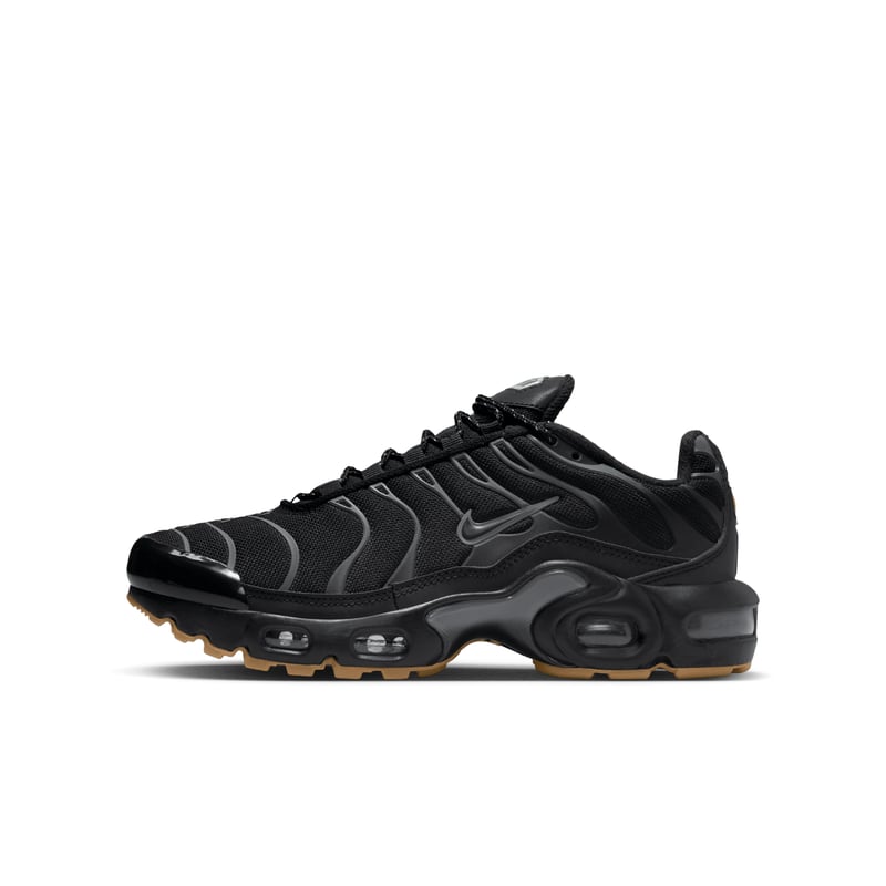 Nike Air Max Plus FV0377-001 01