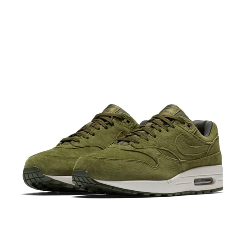 Nike Air Max 1 Premium 875844-301 05